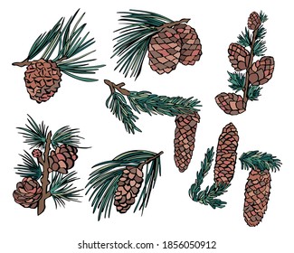 Green cone in vintage style. Xmas background. Holiday greeting. Merry christmas banner. Vector drawing. Merry christmas greeting card. Design element. Xmas celebration. Vector template.