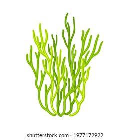 Green Coral as Marine Invertebrate from Ocean Bottom Vector Illustration