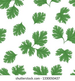 Green coriander seamless pattern on white background vector illustration of herbs in cartoon simple flat style.