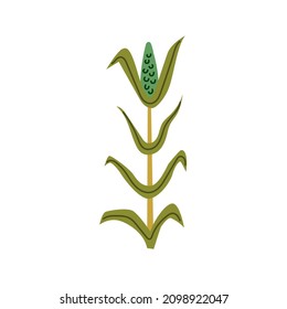 Green corn hand drawn naive art