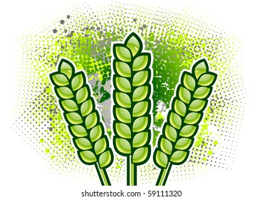 green corn on the background
