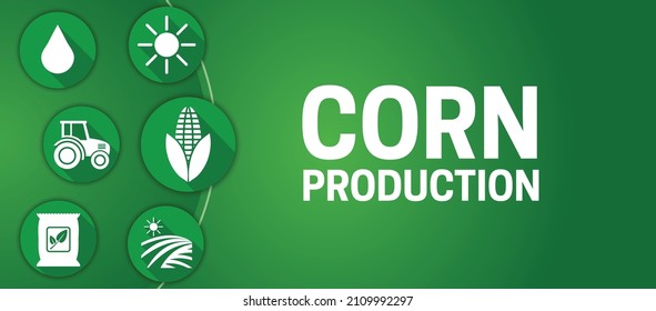 Green Corn Production Illustration Background