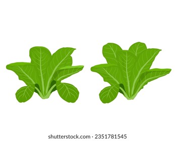 El verde cuesta sobre un fondo blanco.