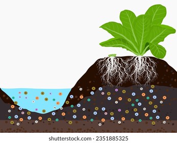 El verde cuesta sobre un fondo blanco.