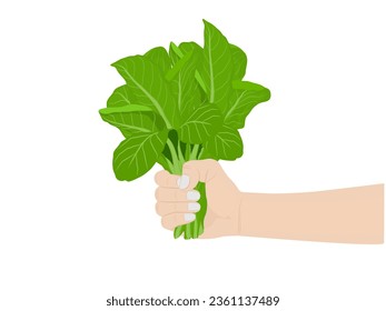 Green cos on a white background.