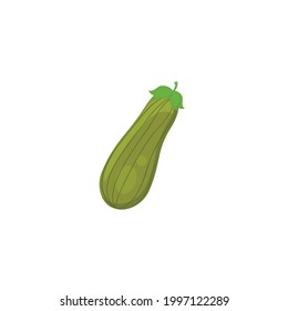 Green Courgette Vector flat design illustration, Cartoon style zucchini, courgette or baby marrow, summer squash flat vector icon isolated. Fresh vegetable Courgette or zucchini iİllustration