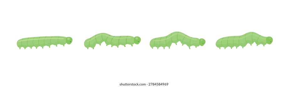 Green crawling caterpillar vector isolated on white background. Insect movement animation stages for educational projects, games and motion design.