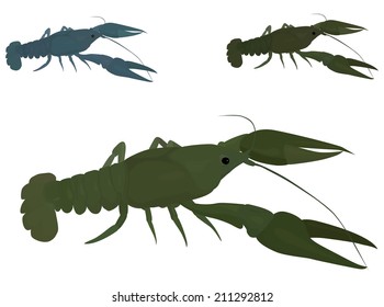 green crayfish