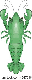 Green crayfish