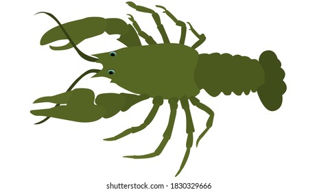 Green crayfish. Vector image, eps 10