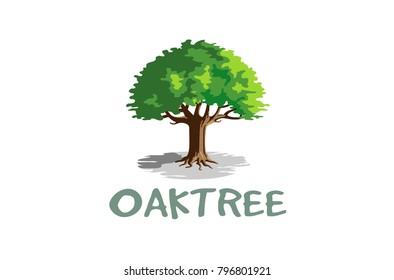 Green Creative Argania Oak Tree Logo Design Symbol Illustration