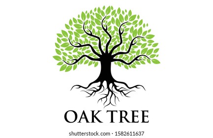 Green Creative Oak Tree Logo Design Symbol Illustration