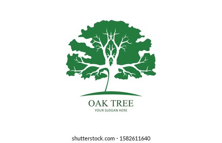 Green Creative Oak Tree Logo Design Symbol Illustration