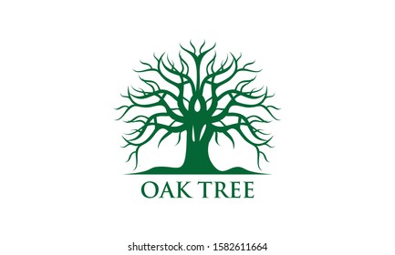 Green Creative Oak Tree Logo Design Symbol Illustration