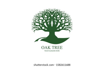 Green Creative Oak Tree Logo Design Symbol Illustration