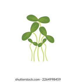 Green cress salad leaves. Garden cress. Medical herb and spice. Herbal vector illustration isolated on white background