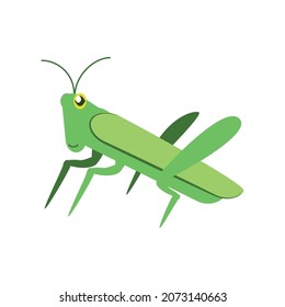 green cricket insect icon style