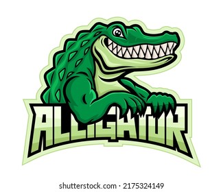 Green crocodile alligator icon on white background. 