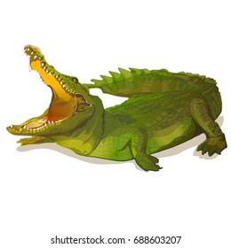 Green crocodile, alligator on white background.Vector illustration