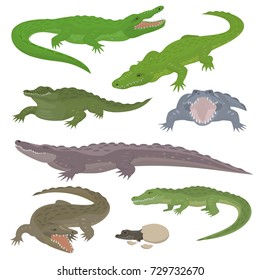 Green crocodile and alligator reptile wild animals vector illustration collection cartoon style