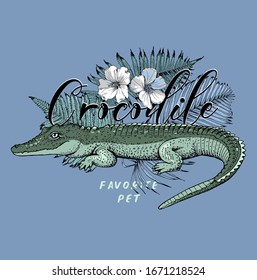 Green crocodile, Hibiscus flowers and blue fern leaves. Favorite pet – lettering quote. Humor card, t-shirt composition, hand drawn style print. Vector illustration.