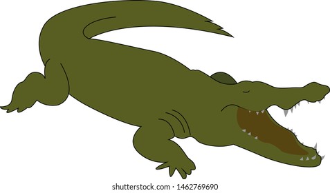 Green crocodile, illustration, vector on white background.