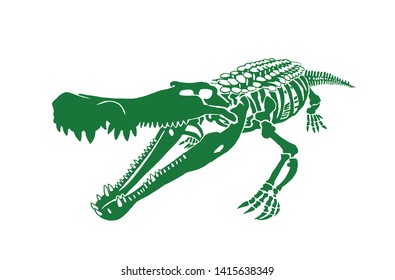 Green crocodile isolated on white,vector illustration