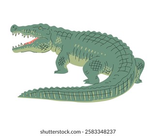 Green crocodile. Large reptile predator with a toothy jaw. Nature and fauna. Wildlife, animals and zoology. Vector illustration isolated on white background