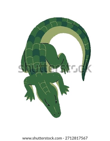 Green crocodile is lying top view. Above of wild alligator. Reptilian or amphibian of tropical swamps. Exotic reptile relaxes, has a rest. Flat isolated vector illustration on white background
