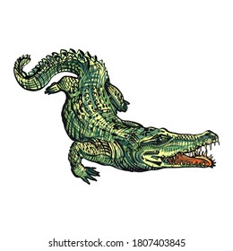 A green crocodile on white background. Fashion vector illustration with alligator. Illustration for fabric, clother. - Vector.