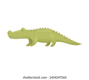 Green crocodile. Vector illustration on white background.