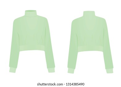 Green crop sweater. vector illustration