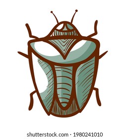 Green crum hand drawn icon. Beetle parasite pictogram. Bug symbol, sign. Insect creeping. Entomological, biological vector illustration for web isolated on white background.