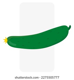 Green cucumber. Cooking background. Vector illustration.