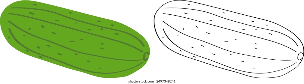 Green cucumber, flat cartoon vector drawing. Children's coloring vegetables, black outline sketch.