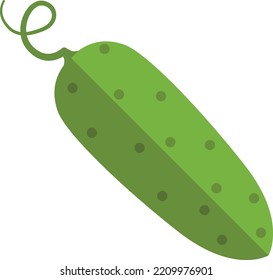 Green cucumber flat icon. Fresh tasty vegetable