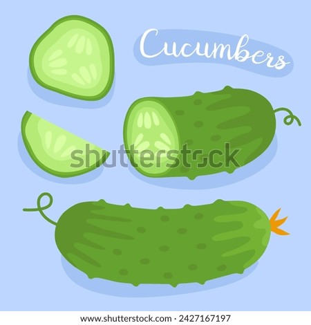 Green cucumber. Fresh vegetable. Ingredient for cooking. Healthy, diet, green vegetarian product. 