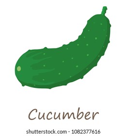 Green cucumber icon. Isometric of green cucumber vector icon for web design isolated on white background