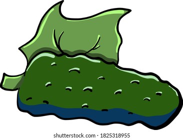 Green cucumber, illustration, vector on white background
