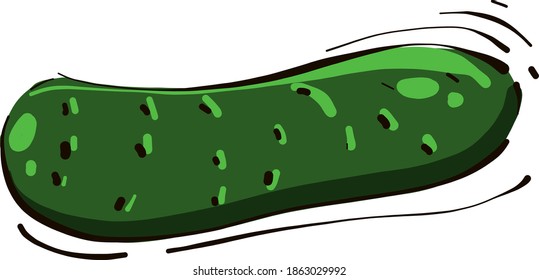 Green cucumber, illustration, vector on white background.