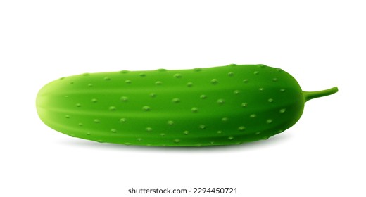 Green cucumber. Image of a ripe green cucumber. Fresh vegetarian product. Realistic 3d vector illustration isolated on a white background