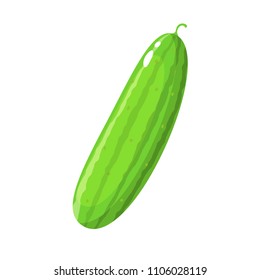 A green cucumber on white Background