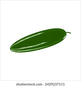 green cucumber on white background. Vector illustration