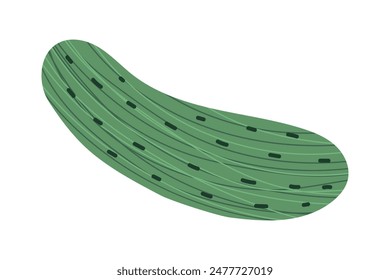 Pepino verde con granos y textura. Hortalizas estilizadas. Ilustración vectorial aislada para su diseño
