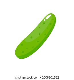 Green cucumber simple illustration on white background. Vector of fresh fruit or vegetable simple concept, minimal design, pear, apple, for icon, logo, symbol