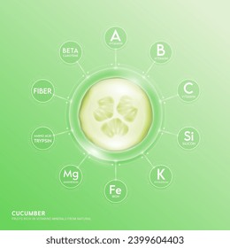 Grüner Gurkenschnitt in Blase. Früchte reich an Vitaminmineralien aus der Natur. Vitamin C Kollagen Kalziumeisen mit Beta-Carotin essenziell für die Gesundheit der Haut und des Körpers. Vektor EPS10.