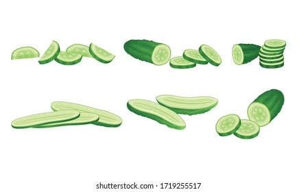 Green Cucumber Sliced Showing Flesh with Seeds Vector Set