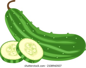 Green cucumber and a cucumber slices
