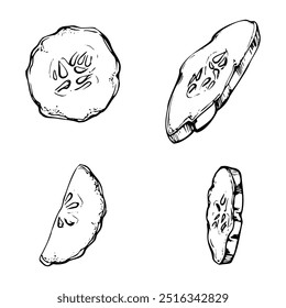 Verdes pepino abóbora abobrinha fatia vegetal para salada vegan cru cozinhar, dieta e estilo de vida saudável. Mão de ilustração desenhada em caneta vetorial e tinta para cartaz, livro de receitas, restaurante ou menu café.