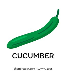 Green cucumber, vector illustration in cartoon flat stye. Food and vegetable concept. Print for recipes, restaurant, supermarket, market place. Vegetarian fresh food product